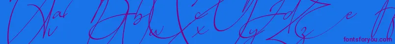 Baltimore Regular   Italic Font – Purple Fonts on Blue Background