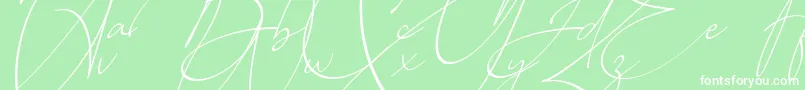 fuente Baltimore Regular   Italic – Fuentes Blancas Sobre Fondo Verde