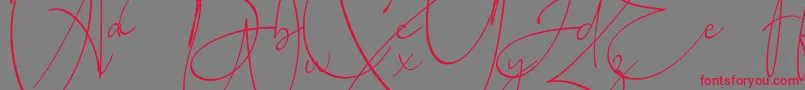 Baltimore Regular-Schriftart – Rote Schriften auf grauem Hintergrund