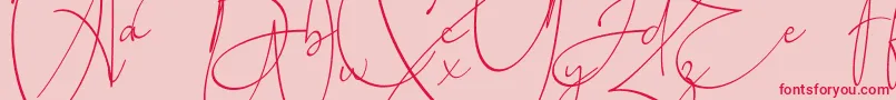Baltimore Regular Font – Red Fonts on Pink Background