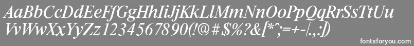 RiccioneserialItalic Font – White Fonts on Gray Background
