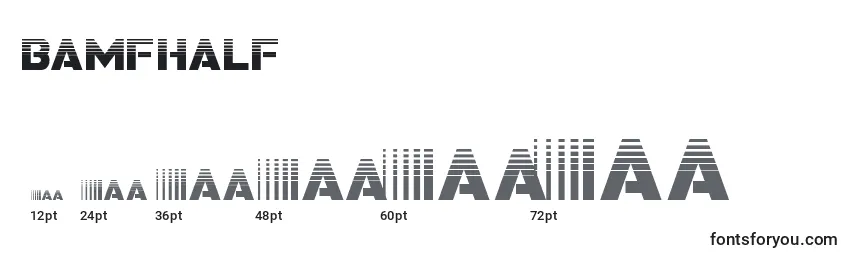 Размеры шрифта Bamfhalf