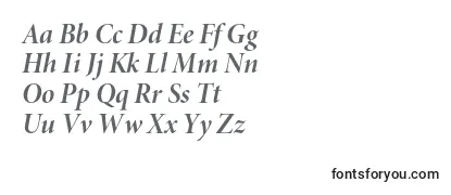 MinionproBolditdisp-fontti