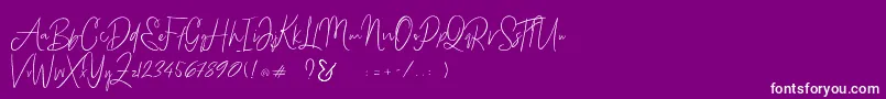 Bammantoe Font – White Fonts on Purple Background