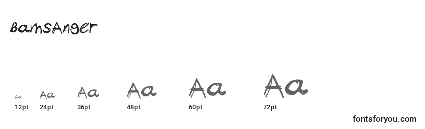 Размеры шрифта BamsAnger (120629)