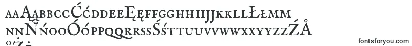 Imfeensc28p Font – Polish Fonts