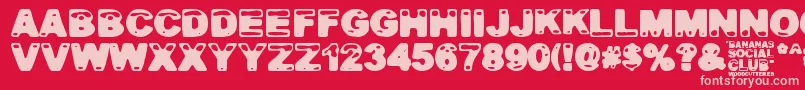 Bananas Social Club Font – Pink Fonts on Red Background