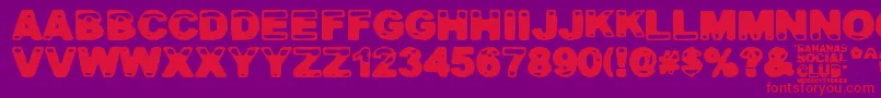 Bananas Social Club Font – Red Fonts on Purple Background