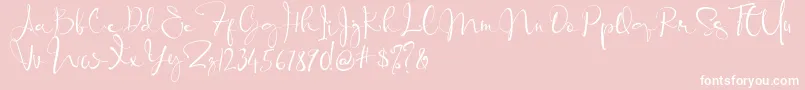 Banggar Signature Font   Dafont Font – White Fonts on Pink Background