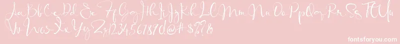 Banggar Signature Font   Dafont-Schriftart – Weiße Schriften auf rosa Hintergrund