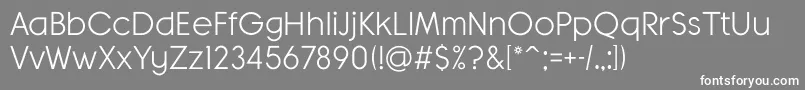 BanksMilesSingleLine Font – White Fonts on Gray Background