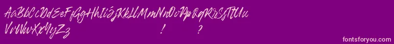 Banshee Font – Pink Fonts on Purple Background