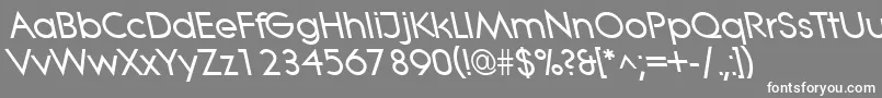フォントLitheleftyBold – 灰色の背景に白い文字