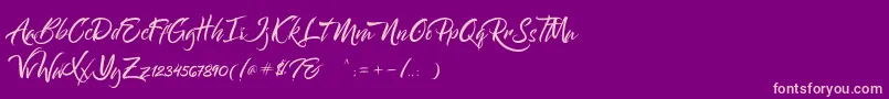 Bantham Font – Pink Fonts on Purple Background