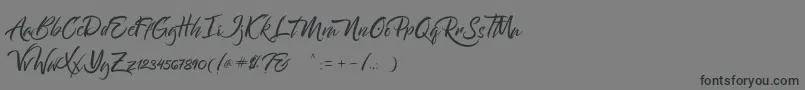 Bantham Font – Black Fonts on Gray Background