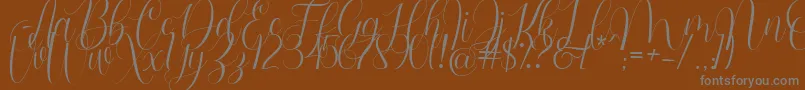 Barbara Blast Demo-Schriftart – Graue Schriften auf braunem Hintergrund