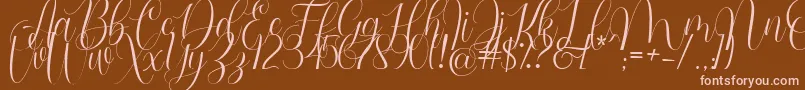 Barbara Blast Demo-Schriftart – Rosa Schriften auf braunem Hintergrund