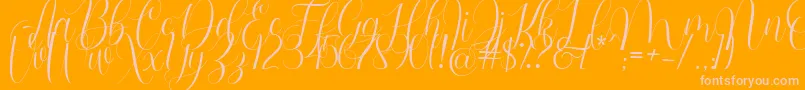 Barbara Blast Demo-Schriftart – Rosa Schriften auf orangefarbenem Hintergrund