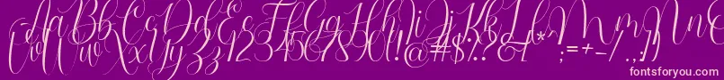 Barbara Blast Demo-Schriftart – Rosa Schriften auf violettem Hintergrund