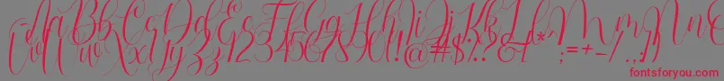 Barbara Blast Demo Font – Red Fonts on Gray Background