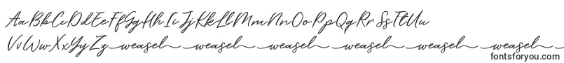 Barbeque Demo V 1-Schriftart – Haarfeine Schriften