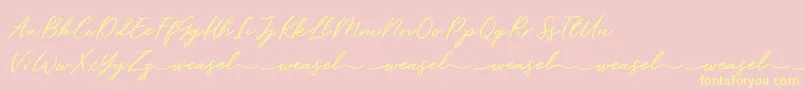 Barbeque Demo V 1 Font – Yellow Fonts on Pink Background
