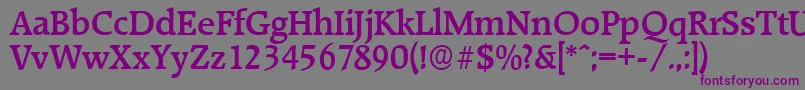 RaleighserialMediumRegular Font – Purple Fonts on Gray Background