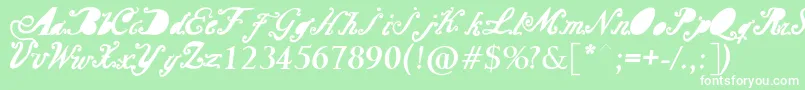 Barcelona Mon Amour Font – White Fonts on Green Background