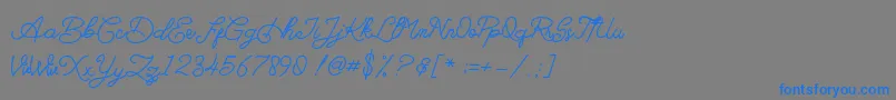 Barlingtton Font – Blue Fonts on Gray Background