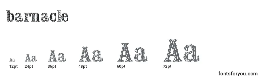 Barnacle (120741) Font Sizes