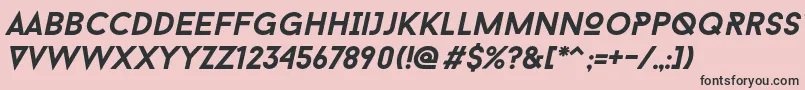 Baron Neue Bold Italic Font – Black Fonts on Pink Background
