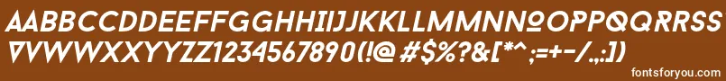 Baron Neue Bold Italic-fontti – valkoiset fontit ruskealla taustalla