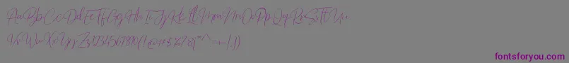 フォントBarosaki Script – 紫色のフォント、灰色の背景