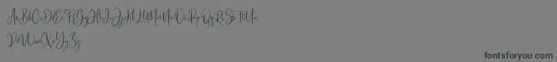 Bashira Free Font – Black Fonts on Gray Background