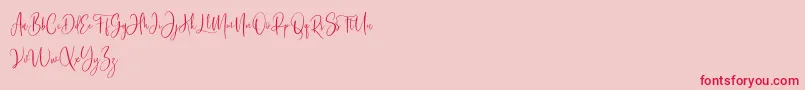 Bashira Free Font – Red Fonts on Pink Background