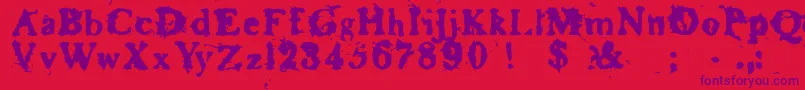 BASKR    Font – Purple Fonts on Red Background