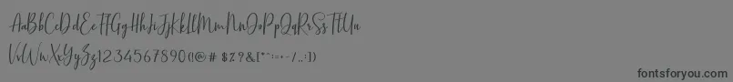 BasstonScript Font – Black Fonts on Gray Background