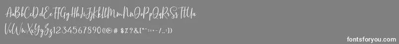 フォントBasstonScript – 灰色の背景に白い文字