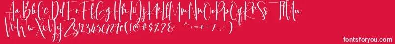 フォントBasyar Jalai – 赤い背景に白い文字