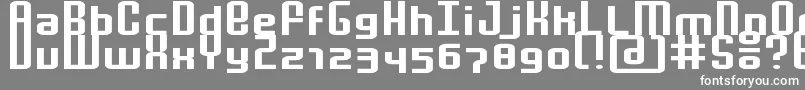 フォントMochaExtended – 灰色の背景に白い文字