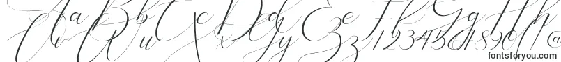 Шрифт Bathey – каллиграфические шрифты