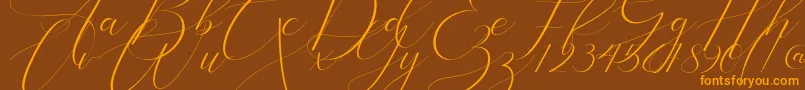 Bathey Font – Orange Fonts on Brown Background