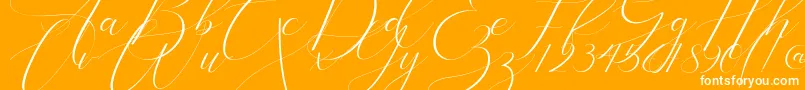 Bathey Font – White Fonts on Orange Background