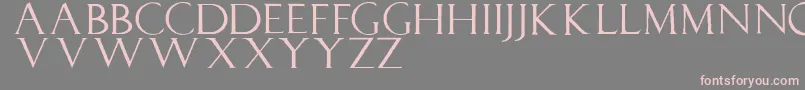 Lucapaciolirough Font – Pink Fonts on Gray Background