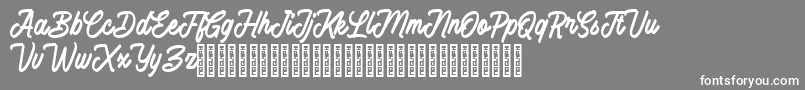 フォントBattams – 灰色の背景に白い文字