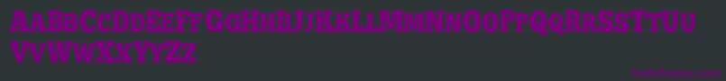 フォントBATTLE ROAD DEMO – 黒い背景に紫のフォント