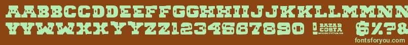 BAZAR COSTA Font – Green Fonts on Brown Background