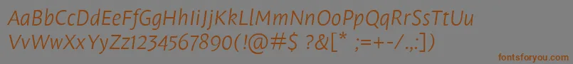 Police LeksasansproLightItalic – polices brunes sur fond gris