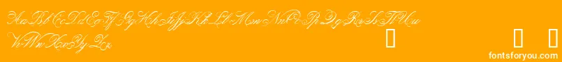 be      -Schriftart – Weiße Schriften auf orangefarbenem Hintergrund