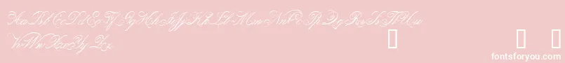 be       Font – White Fonts on Pink Background